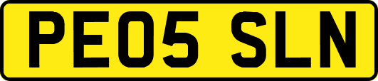 PE05SLN