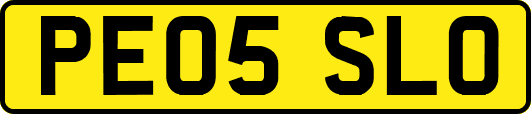 PE05SLO