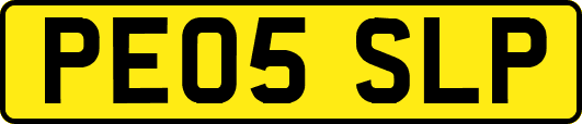 PE05SLP