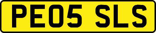 PE05SLS