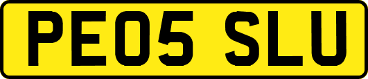 PE05SLU