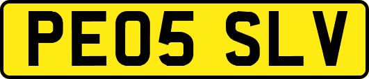 PE05SLV