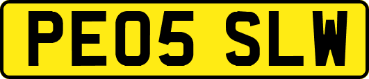 PE05SLW
