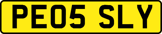 PE05SLY