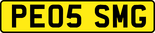 PE05SMG