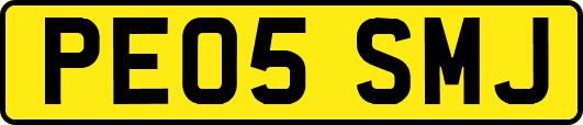 PE05SMJ