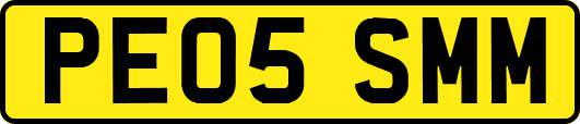 PE05SMM