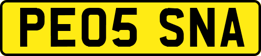 PE05SNA