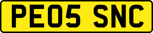 PE05SNC