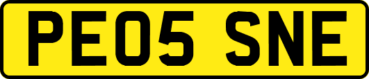 PE05SNE