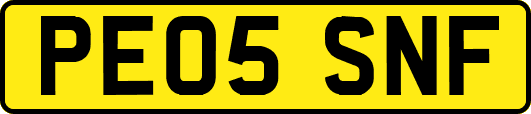 PE05SNF