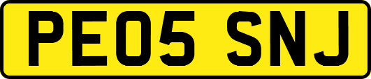 PE05SNJ