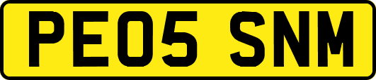 PE05SNM