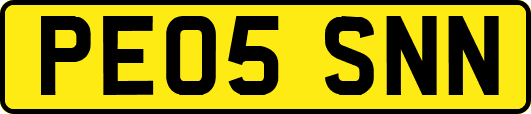 PE05SNN