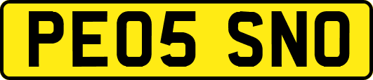 PE05SNO