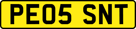 PE05SNT