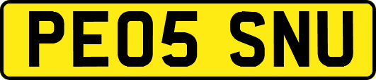 PE05SNU