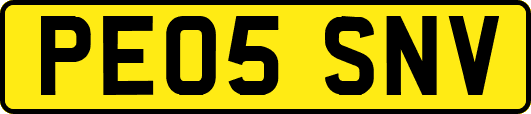 PE05SNV