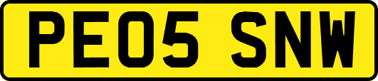 PE05SNW