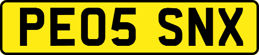 PE05SNX