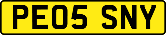 PE05SNY