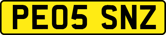 PE05SNZ