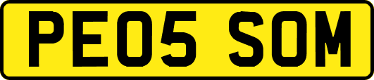 PE05SOM