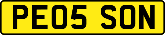 PE05SON