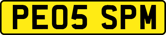 PE05SPM