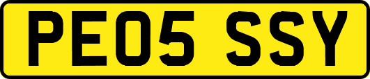 PE05SSY