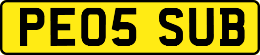 PE05SUB