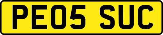 PE05SUC
