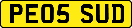PE05SUD