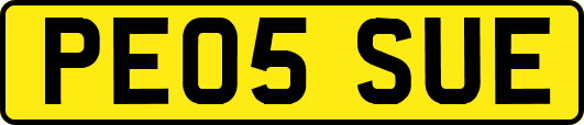 PE05SUE