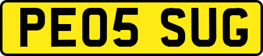 PE05SUG