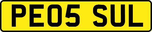 PE05SUL