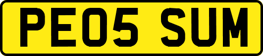 PE05SUM