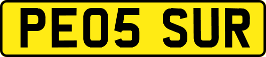 PE05SUR