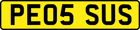 PE05SUS