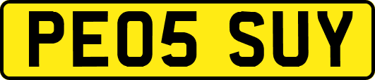 PE05SUY