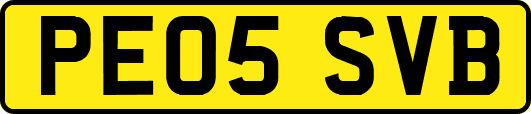 PE05SVB