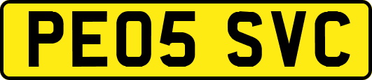 PE05SVC