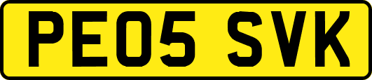 PE05SVK