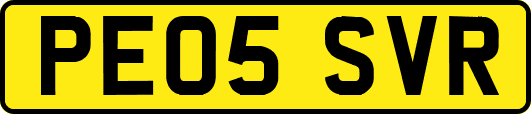 PE05SVR