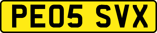 PE05SVX