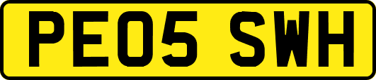 PE05SWH