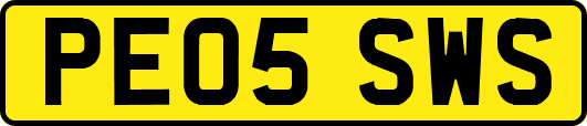 PE05SWS