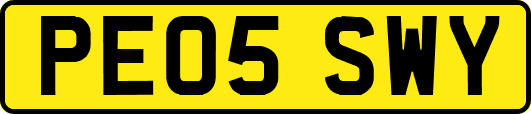 PE05SWY