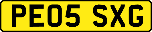 PE05SXG