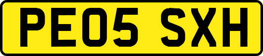 PE05SXH